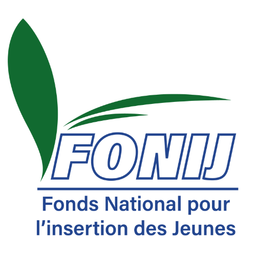 Renforcement des capacités fonij (fond national d’insertion des jeunes)
